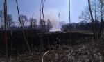 Krosnowice: pożar trawy i trzciny 11.03.2014
