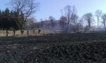 Krosnowice: pożar trawy i trzciny 11.03.2014